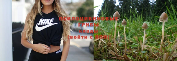 ALPHA-PVP Армянск