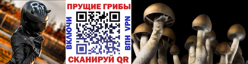 Галлюциногенные грибы ЛСД  наркота  Семикаракорск 